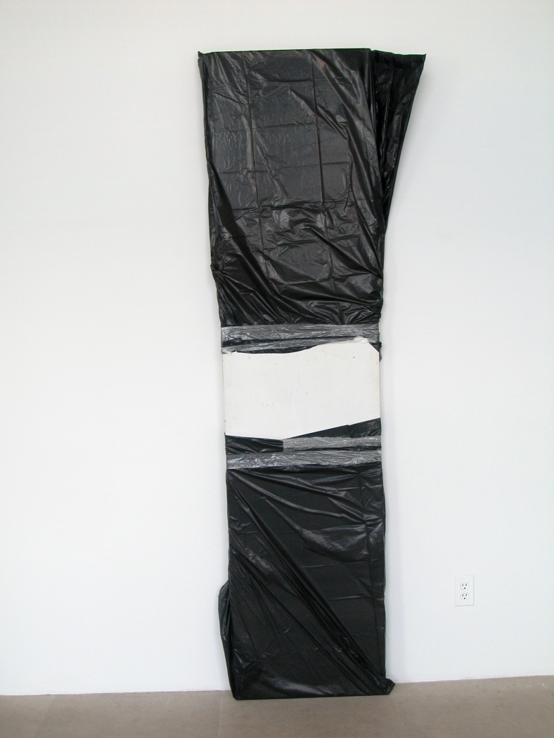 The Last One, 2008, Hollow core door, garbage bags, tape, 88 x 29 x 3 inches