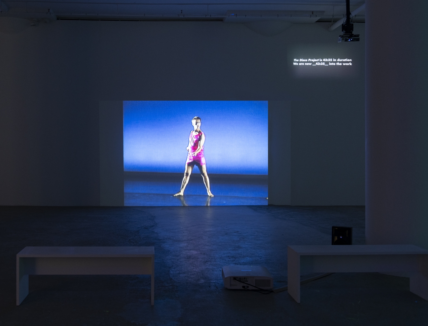 Installation view, From Disco to Disco, Greene Naftali, New York, 2021