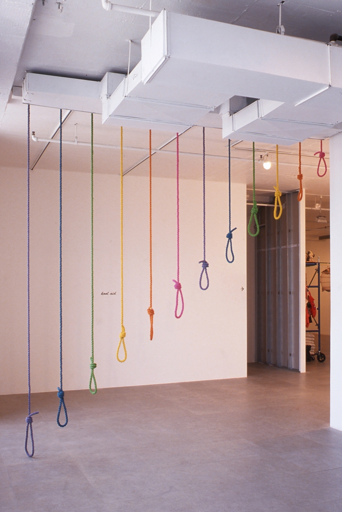 Amy Gartrell, Untitled (Rainbow Nooses), 2000, rope, fluorescent dye, wood, 126 x 144 x 4 inches
