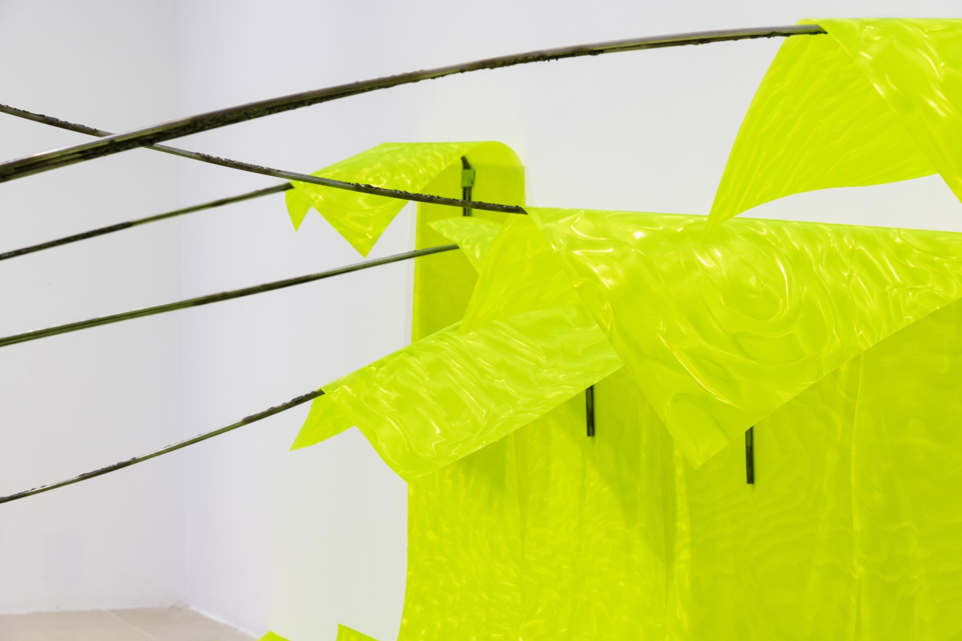 Olga Balema, Manifestations of our own wickedness and future idiocy, 2017 (detail)