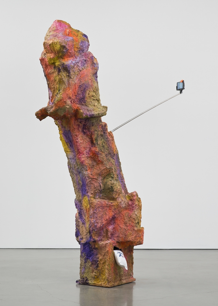 Rachel Harrison Magnum, 2015 Wood, polystyrene, chicken wire, cement, acrylic, Eagle Magnum Lead shot, selfie stick and display phone 85 1/2 x 56 x 22 inches (217.2 x 142.2 x 55.9 cm)