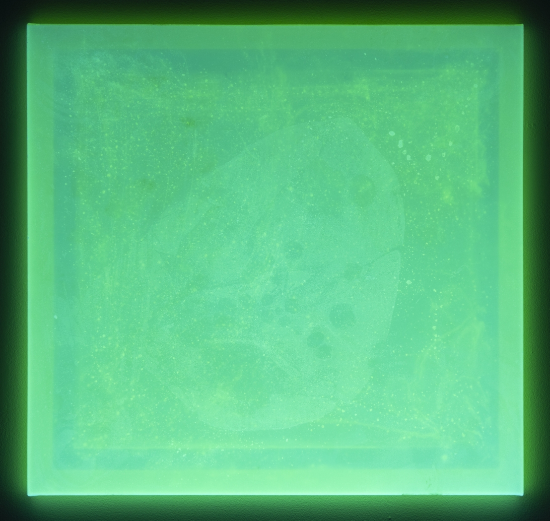 Jacqueline Humphries, Untitled, 2019