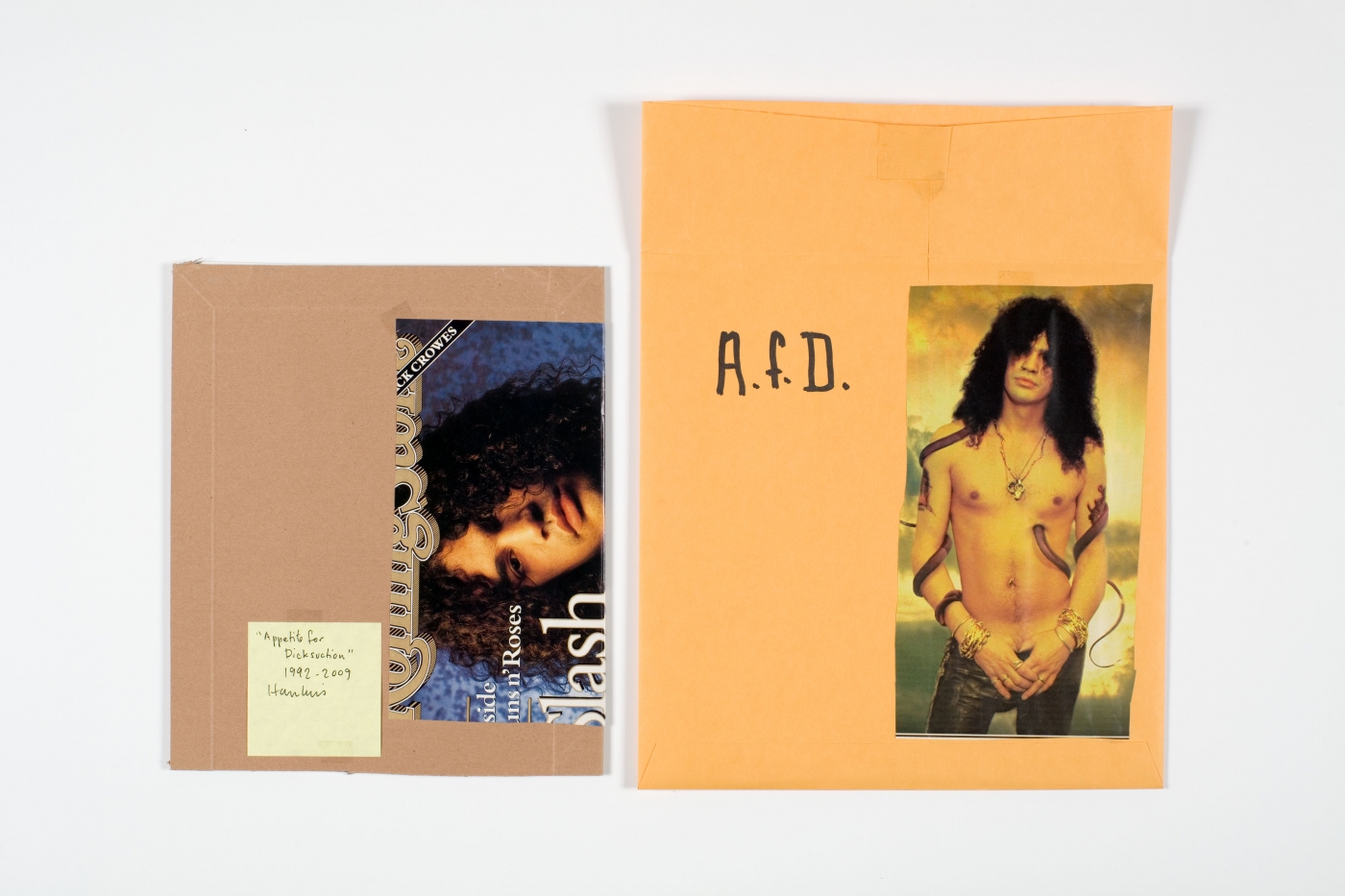 AfD: Appetite for Dicksuction, 1992-2009, Artist's book (two gatefolds and one double-sided tri-fold pages inserted loose in an illustrated portfolio with illustrated envelope), 12 x 19 1/2 inches (open)