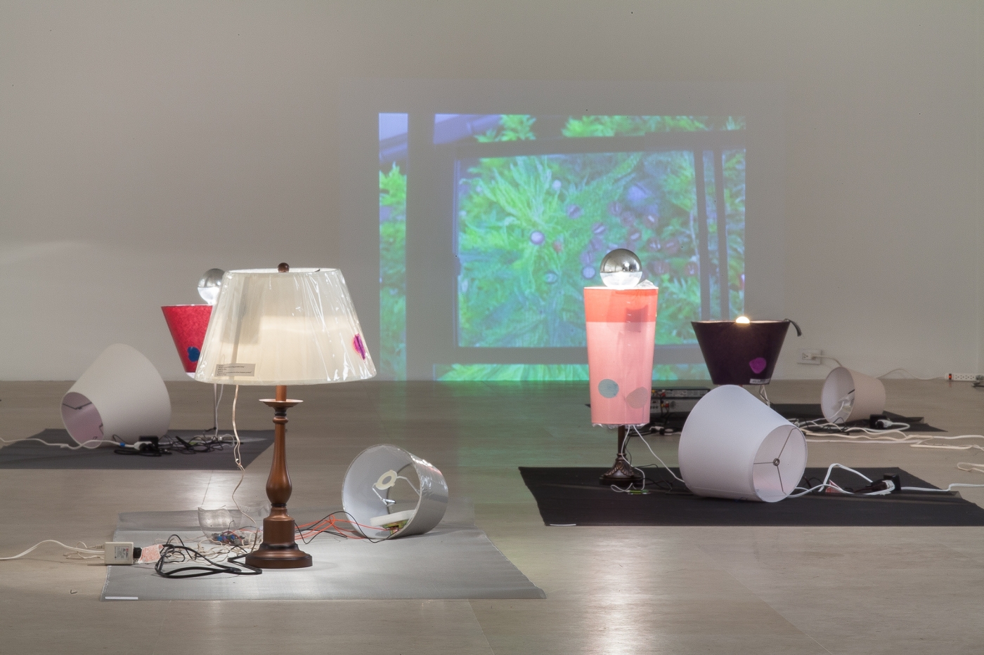 Josef Strau, Installation view, Exercises ab initio..., Greene Naftali, New York, 2012