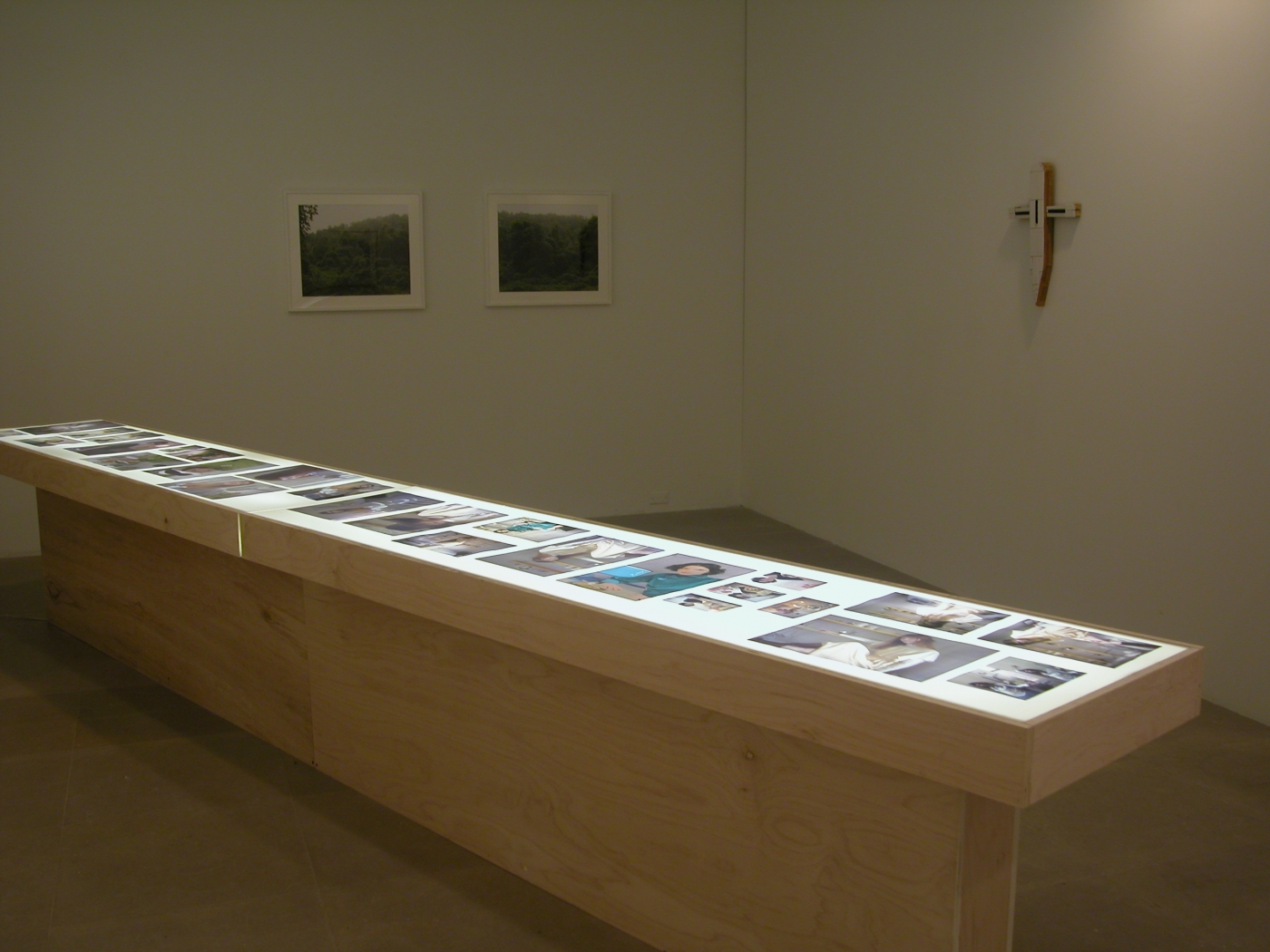 Installation view, American Idyll, Greene Naftali, New York, 2004