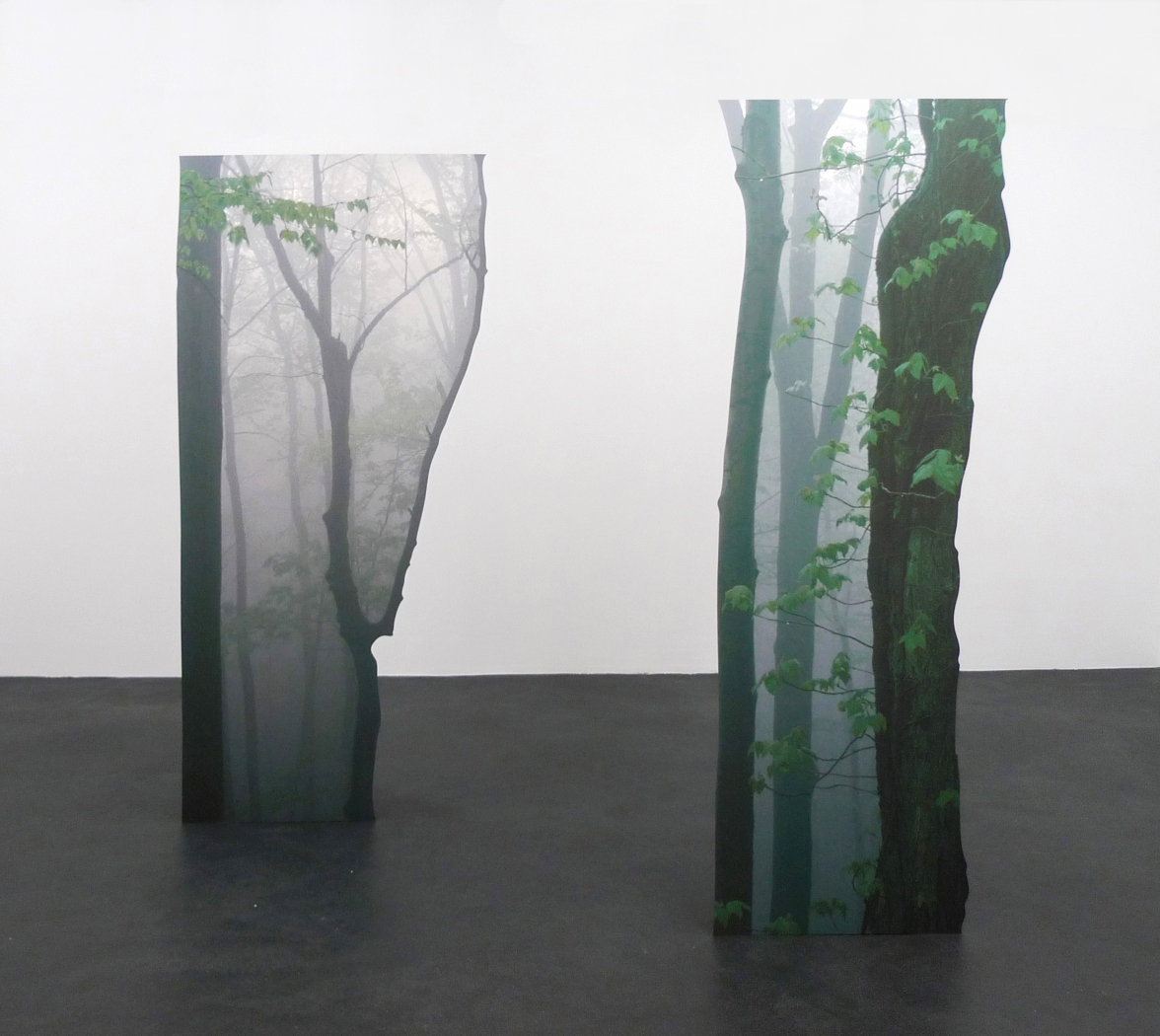 Branching VII, 2013 2 digital prints on aluminum, cutout display 220 x 104 x 35 cm, 220 x 82 x 35 cm