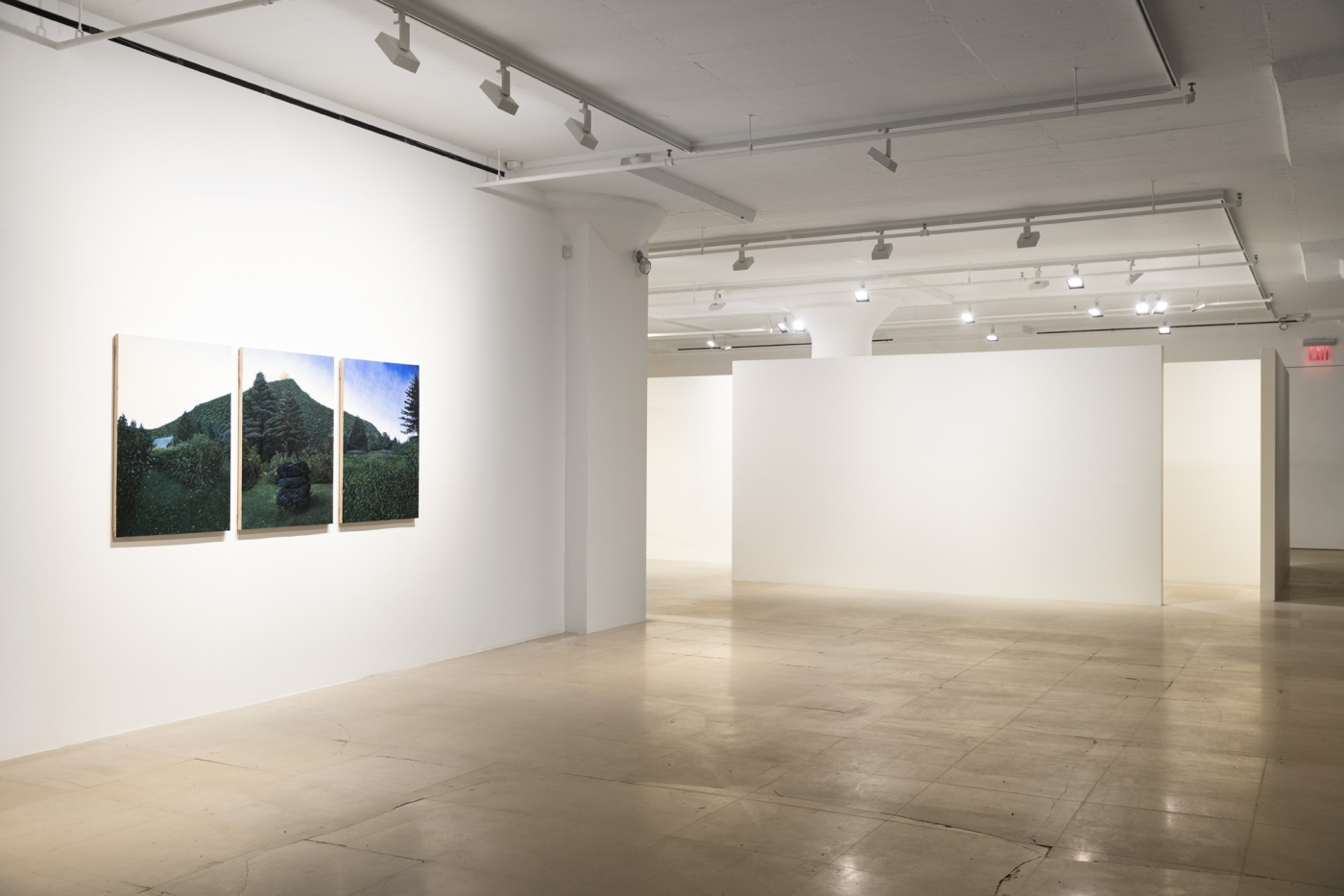 Giangiacomo Rossetti, Installation view, Le Fantasie, Greene Naftali, New York, 2020