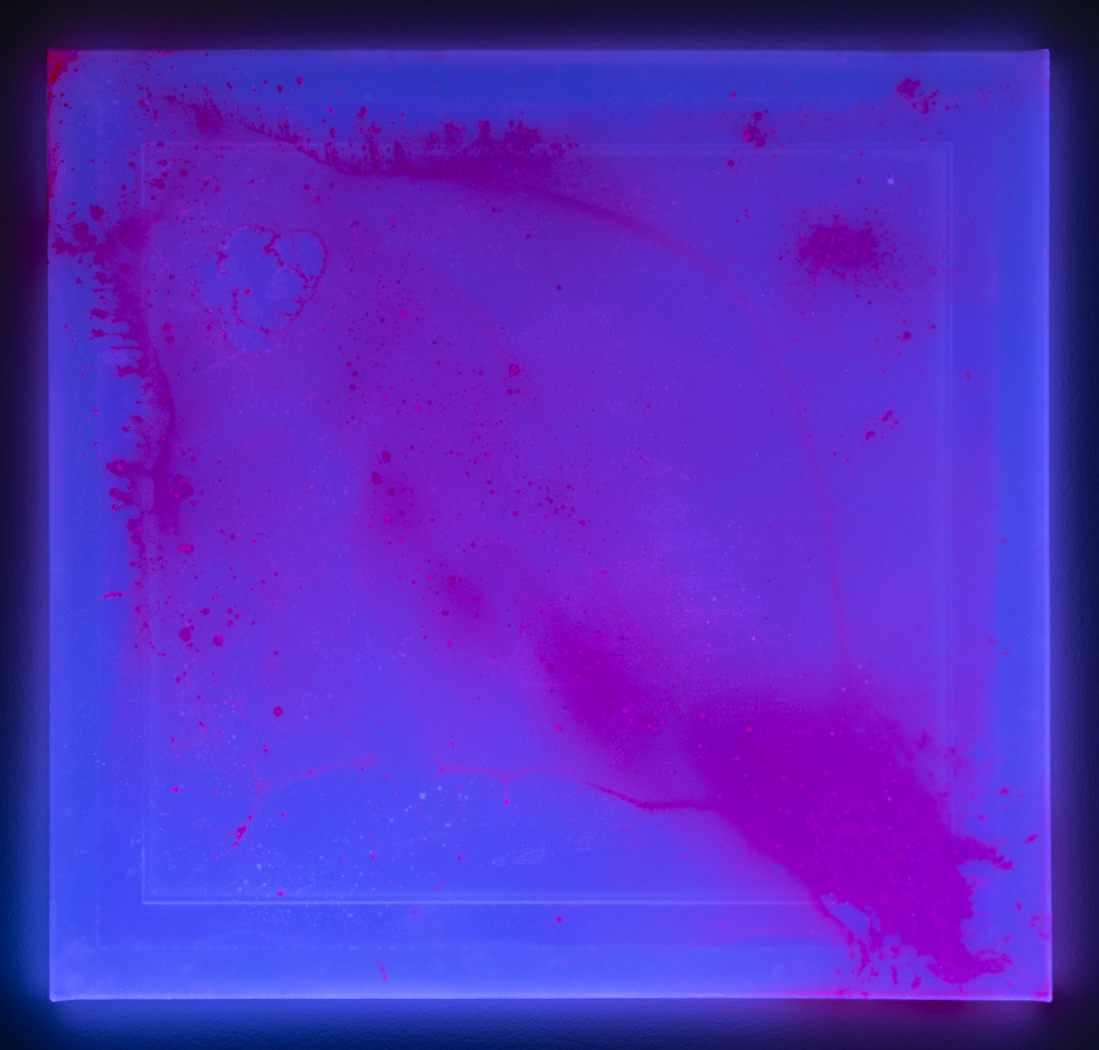 Jacqueline Humphries, Untitled, 2019