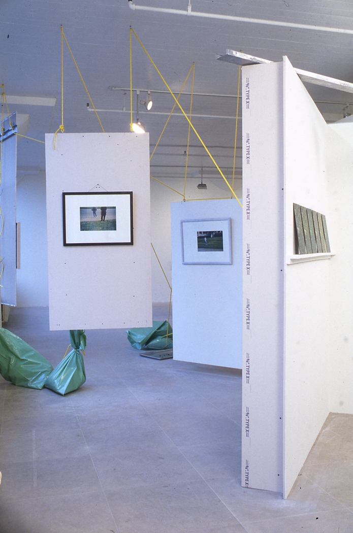 Installation view, Rachel Harrison, Greene Naftali, New York, 1997