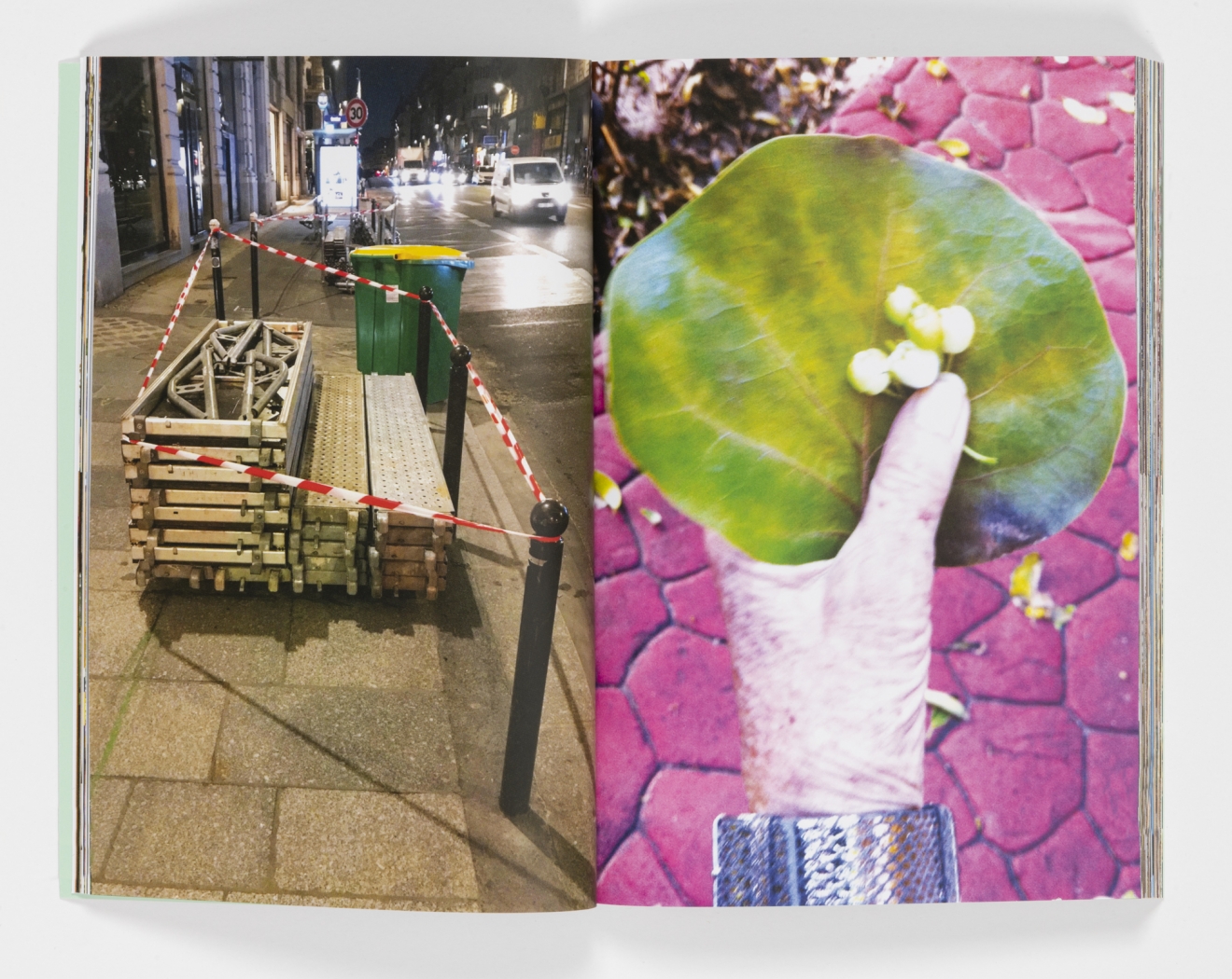 Rachel Harrison / Haim Steinbach: Between Artists