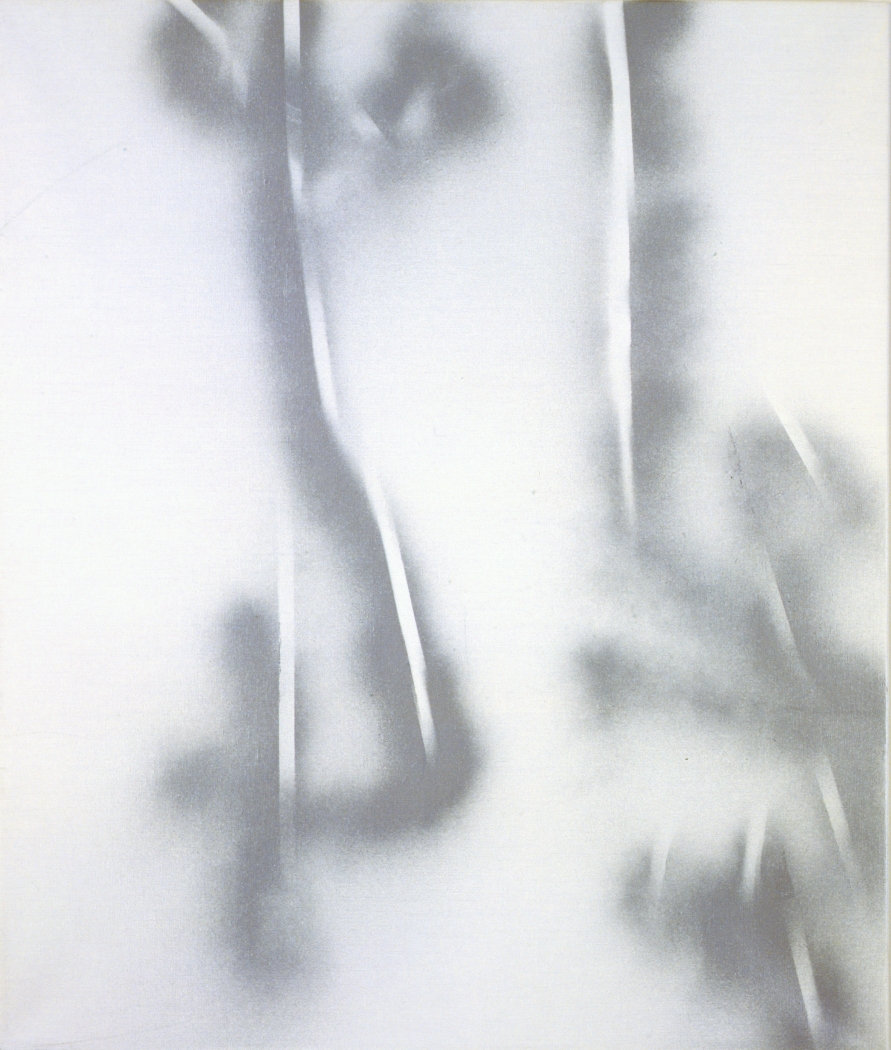 Untitled, 2005, Laquer on canvas, 37.5 x 31.5 inches