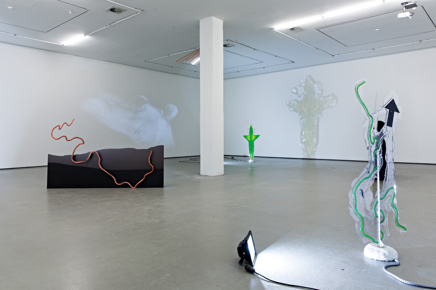 Katja Novitskova, Installation view, Dawn Mission, Kunstverein in Hamburg, DE, 2016
