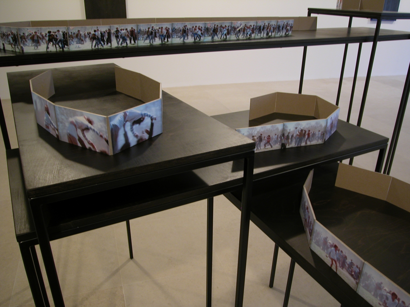 Hair, 2006 (detail), steel, wood, cardboard, c-prints, transparent tape, 61 x 100 x 135 inches