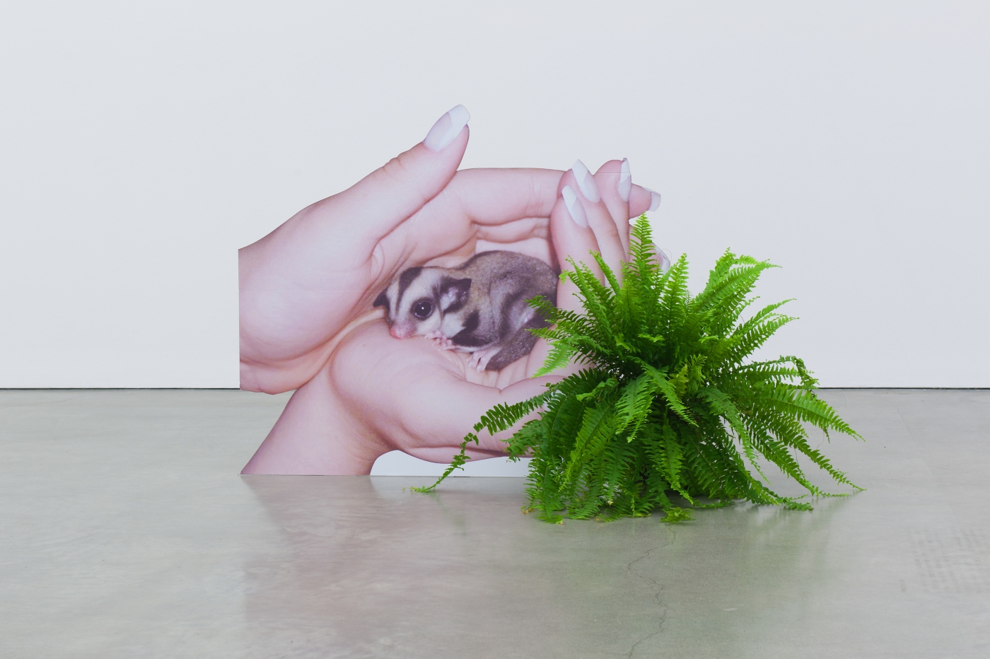 Innate Disposition 2, 2012 digital print plastic cutout displays 120 x 150 cm