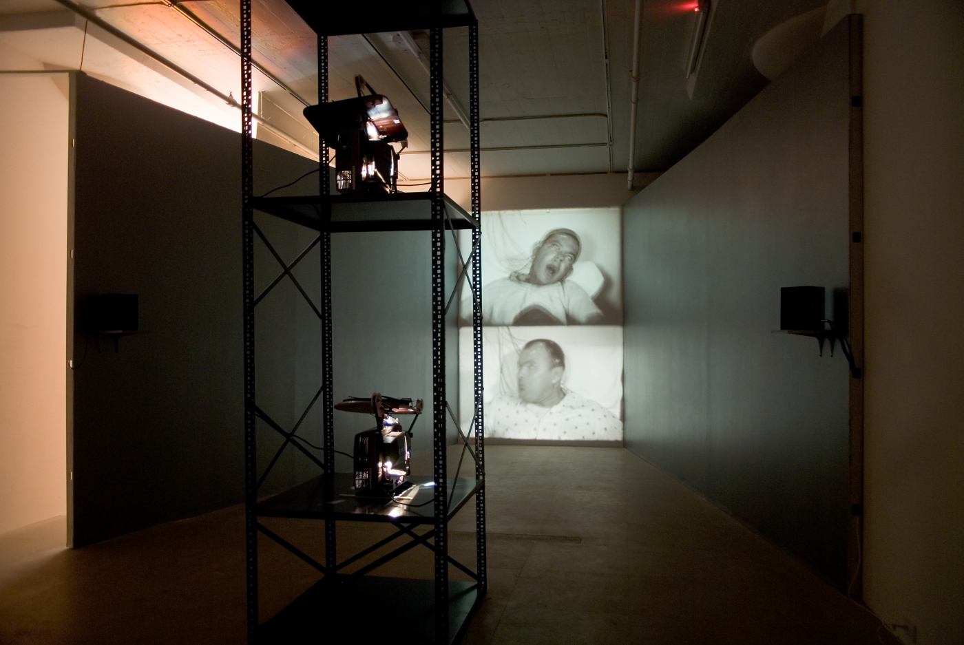 Installation view, Epileptic Seizure Comparison, Greene Naftali, New York, 2007