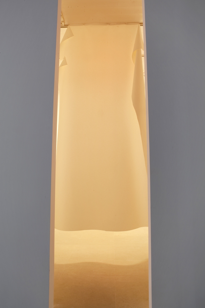 Gedi Sibony, The Brighter Grows the Lantern, 2010, vinyl, nails, and light, dimensions variable