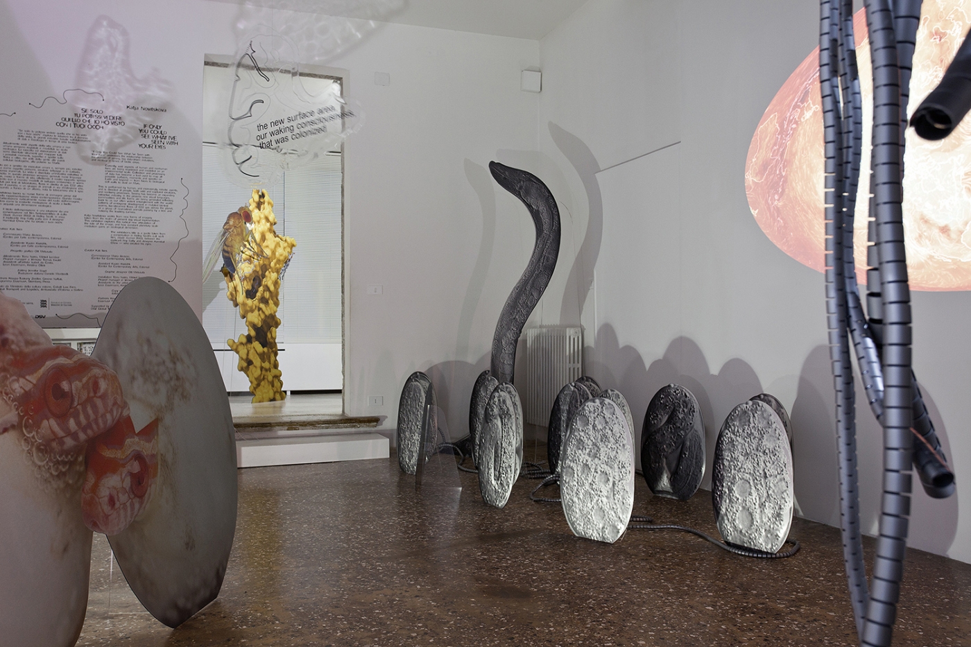 Katja Novitskova, Installation view, If Only You Could See What I’ve Seen With Your Eyes, 57th Venice Biennale, Estonian Pavilion, Venice, 2017