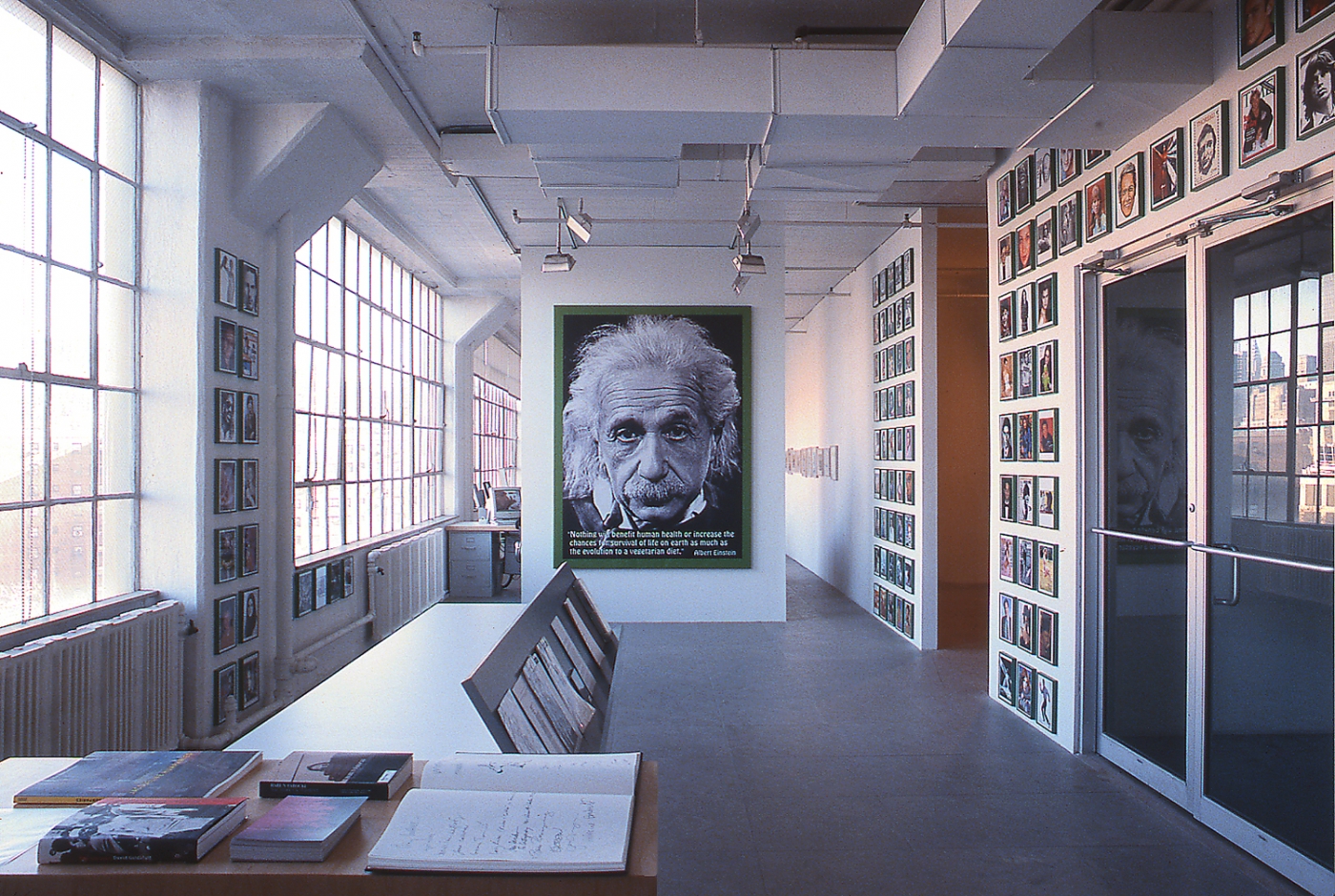 Installation view, Go Vegan!, Greene Naftali, New York, 2002