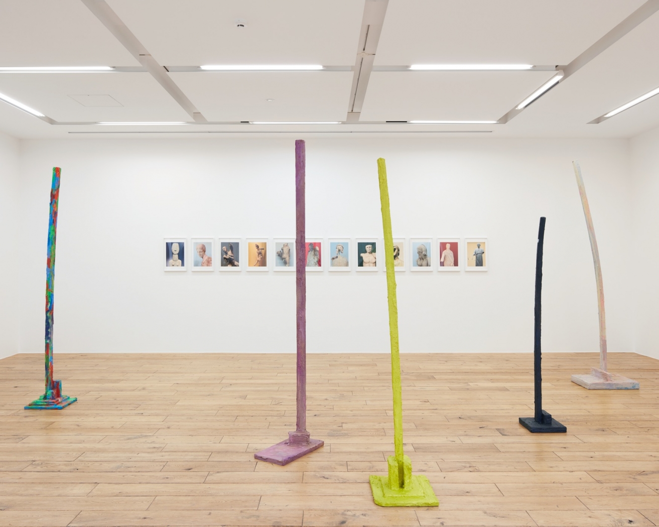 Rachel Harrison, Installation view, House of the Dolphins, Rat Hole Gallery, Tokyo, 2018