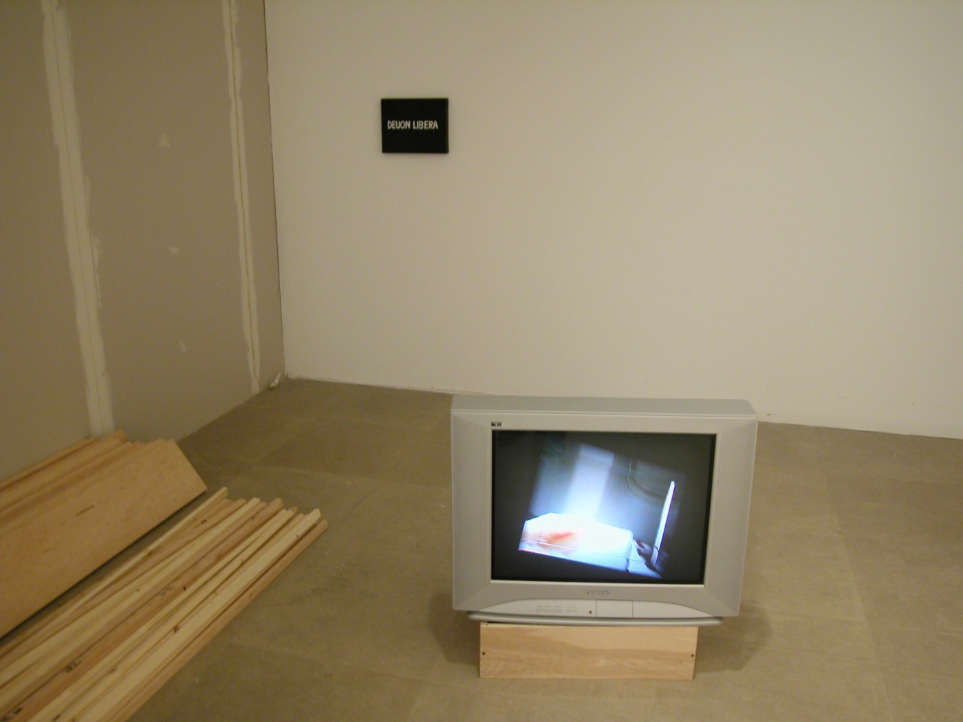 Installation view, Don't Think About Me I'm Alright, Greene Naftali, New York, 2004