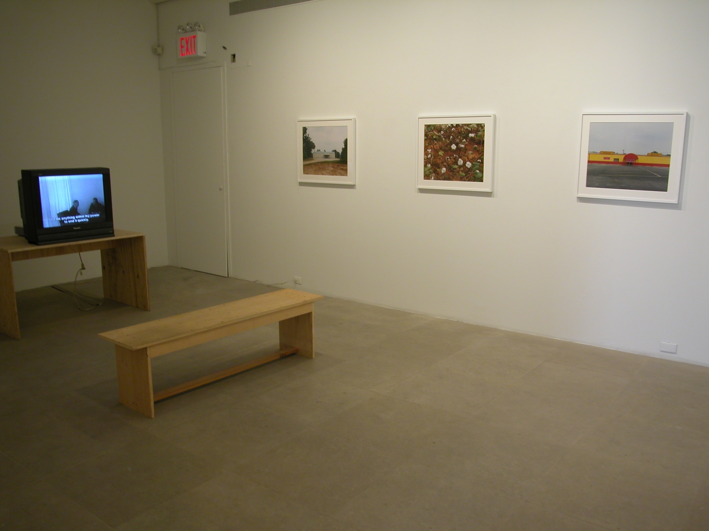 Installation view, American Idyll, Greene Naftali, New York, 2004