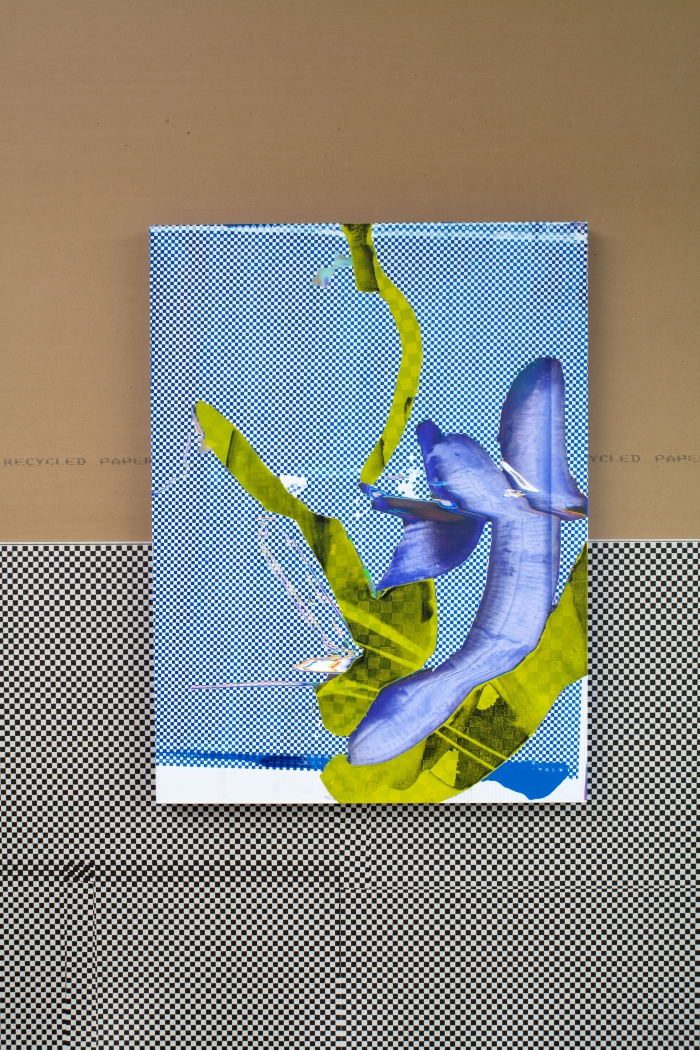 Untitled, 2009, Paint, silkscreen, and digital inkjet print on canvas, 48 x 36 x 2 inches