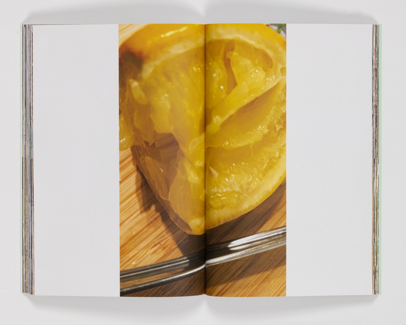 Rachel Harrison / Haim Steinbach: Between Artists