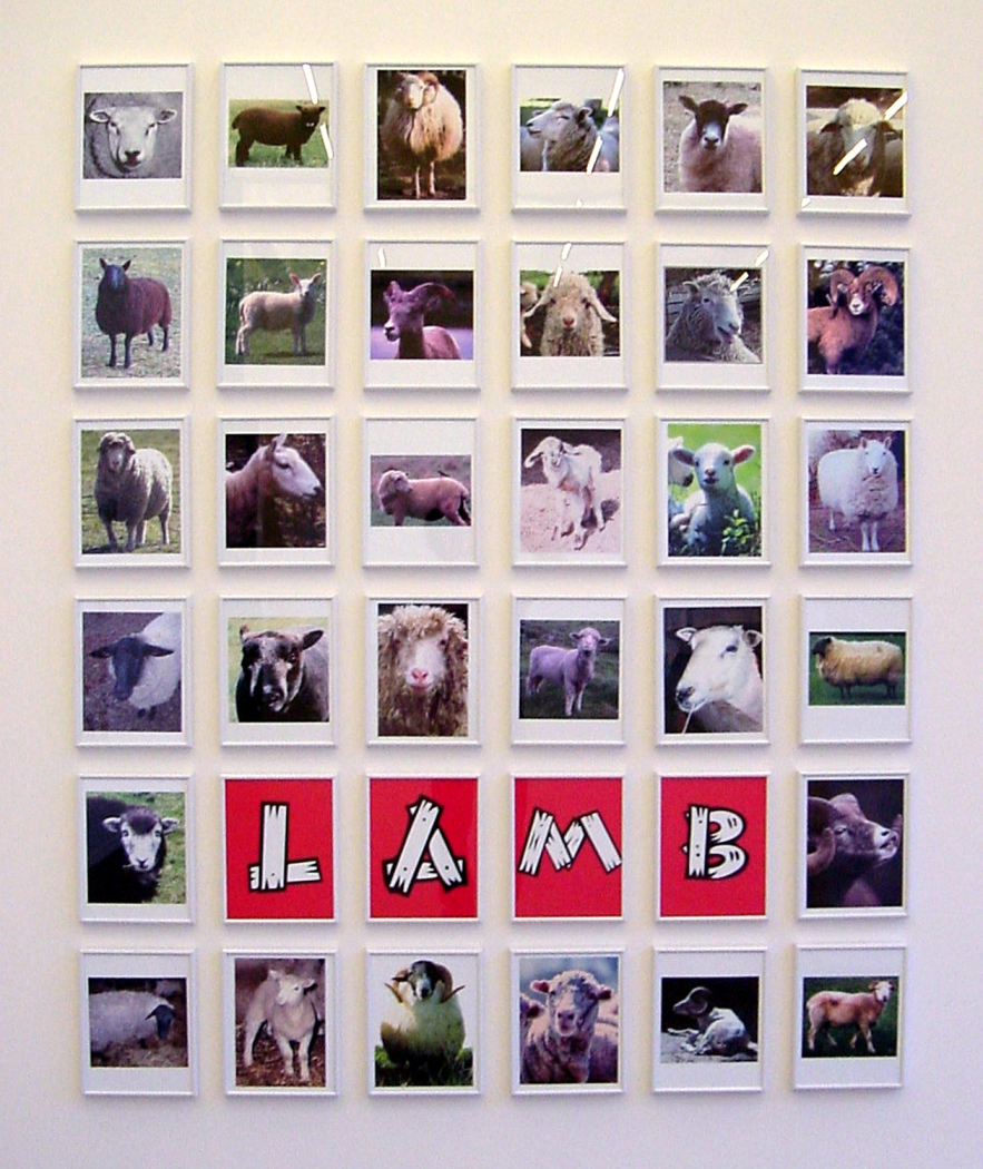 Lamb (32 Portraits of Sheep Downloaded From the Internet), 2002, 32 framed inkjet prints, 77 ½ x 62”