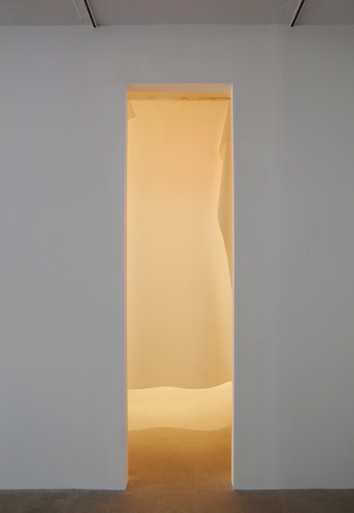 Gedi Sibony The Brighter Grows the Lantern, 2010 Vinyl, nails, light, room 137 x 313 x 133 1/2 inches (348 x 795 x 339 cm)