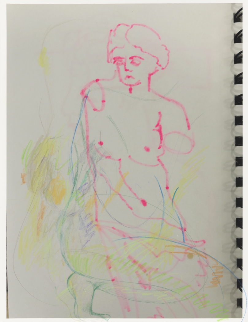 Rachel Harrison, The Classics, 2018