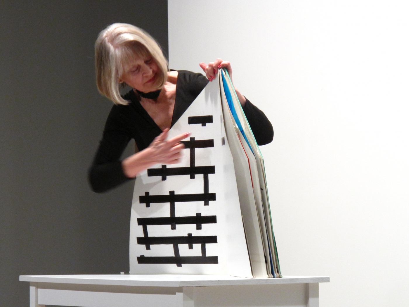 Performane view, My Father's Diary, Greene Naftali, New York , 2009