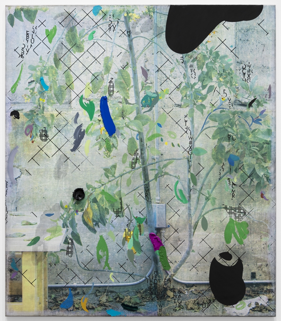 Laura Owens, Untitled, 2019, Oil, screen printing ink an charcoal on linen, 69 x 60 inches (175.3 x 152.4 cm)