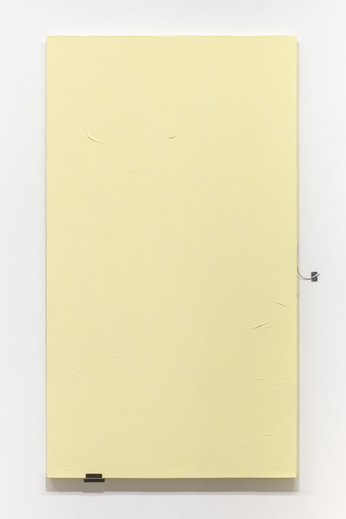 Monika Baer In Reserve (2), 2019