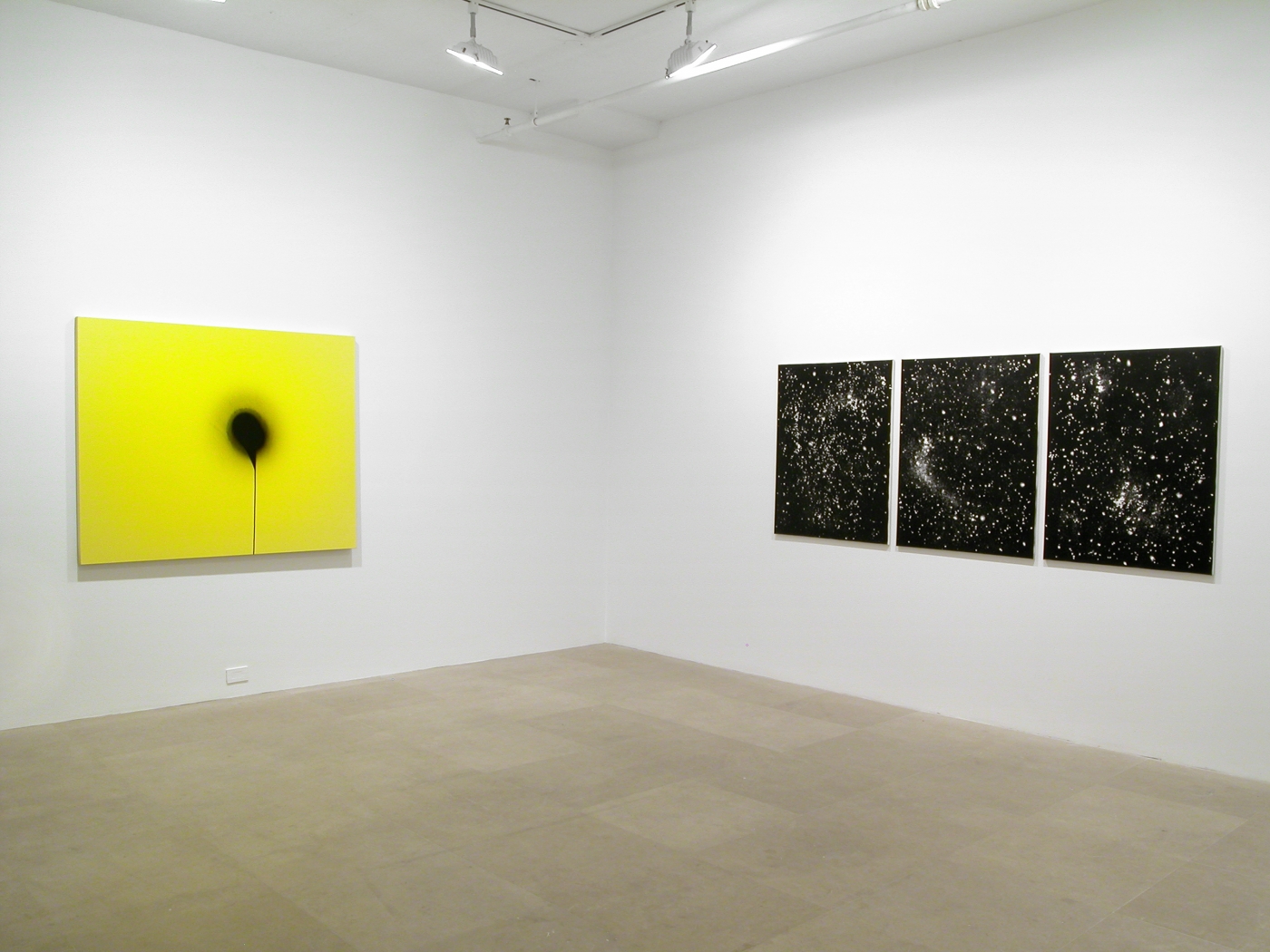 Installation view, Painting: Now and Forever, Part II, Greene Naftali, New York, 2008