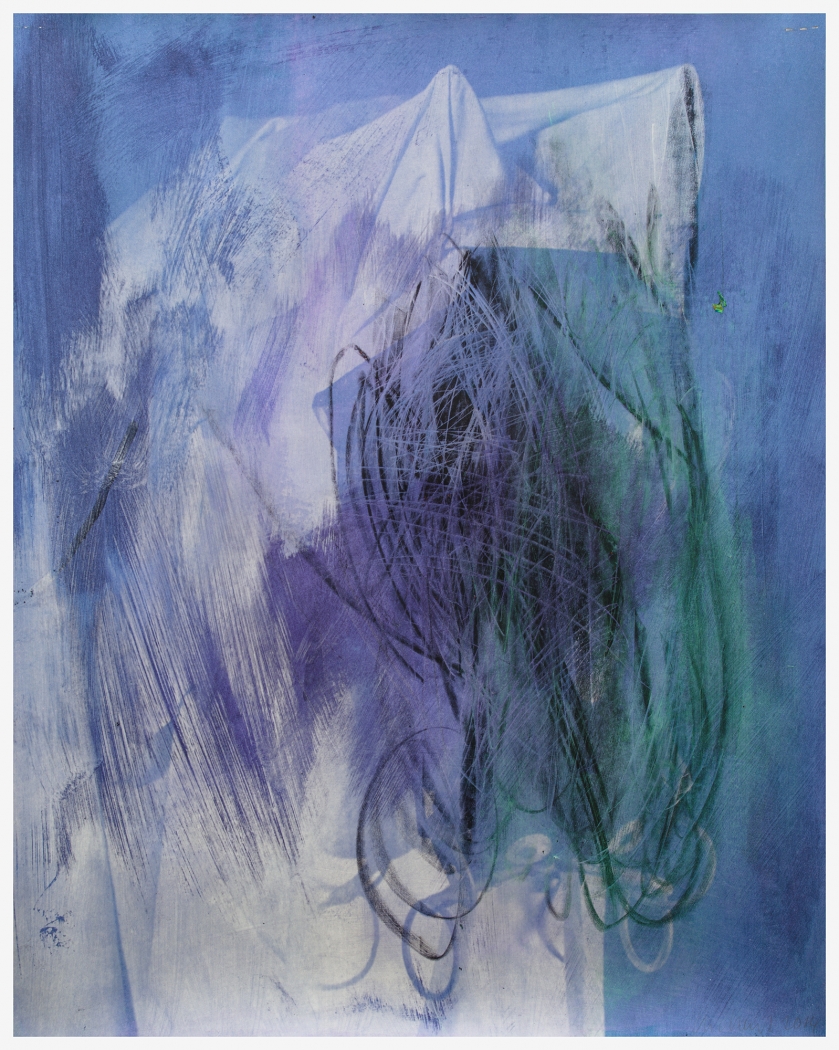 Charline von Heyl Spooky Horse, 2014 Charcoal, inkjet print, acrylic, and wax crayon on paper Paper: 23 3/4 x 18 13/16 inches (60.3 x 47.8 cm) Frame: 27 x 22 inches (68.6 x 55.9 cm)