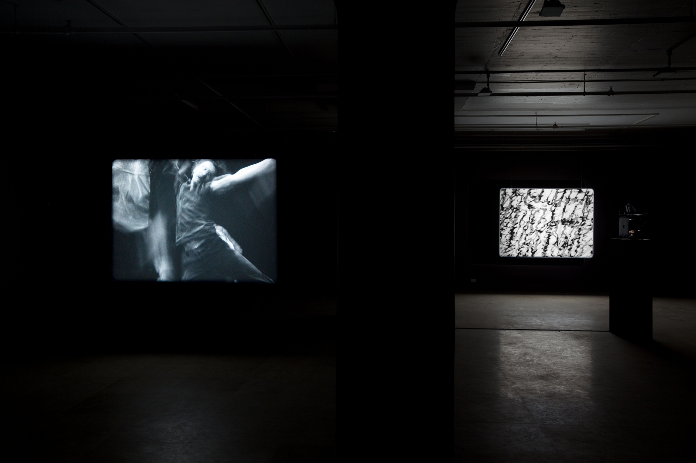 Joachim Koester, Installation view, From the Secret Garden of Sleep, Greene Naftali, New York, 2010