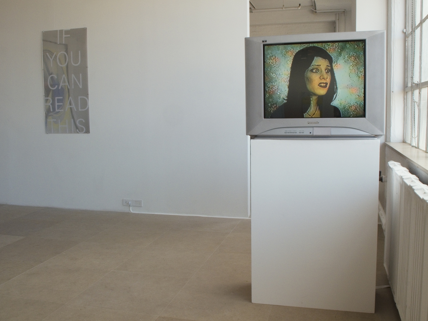 Installation view, The Pursuer, Greene Naftali, New York, 2010