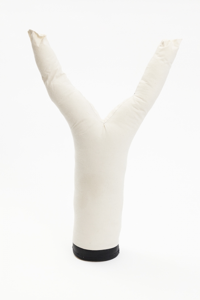 Paul Chan, Untitled GOP 4, 2016