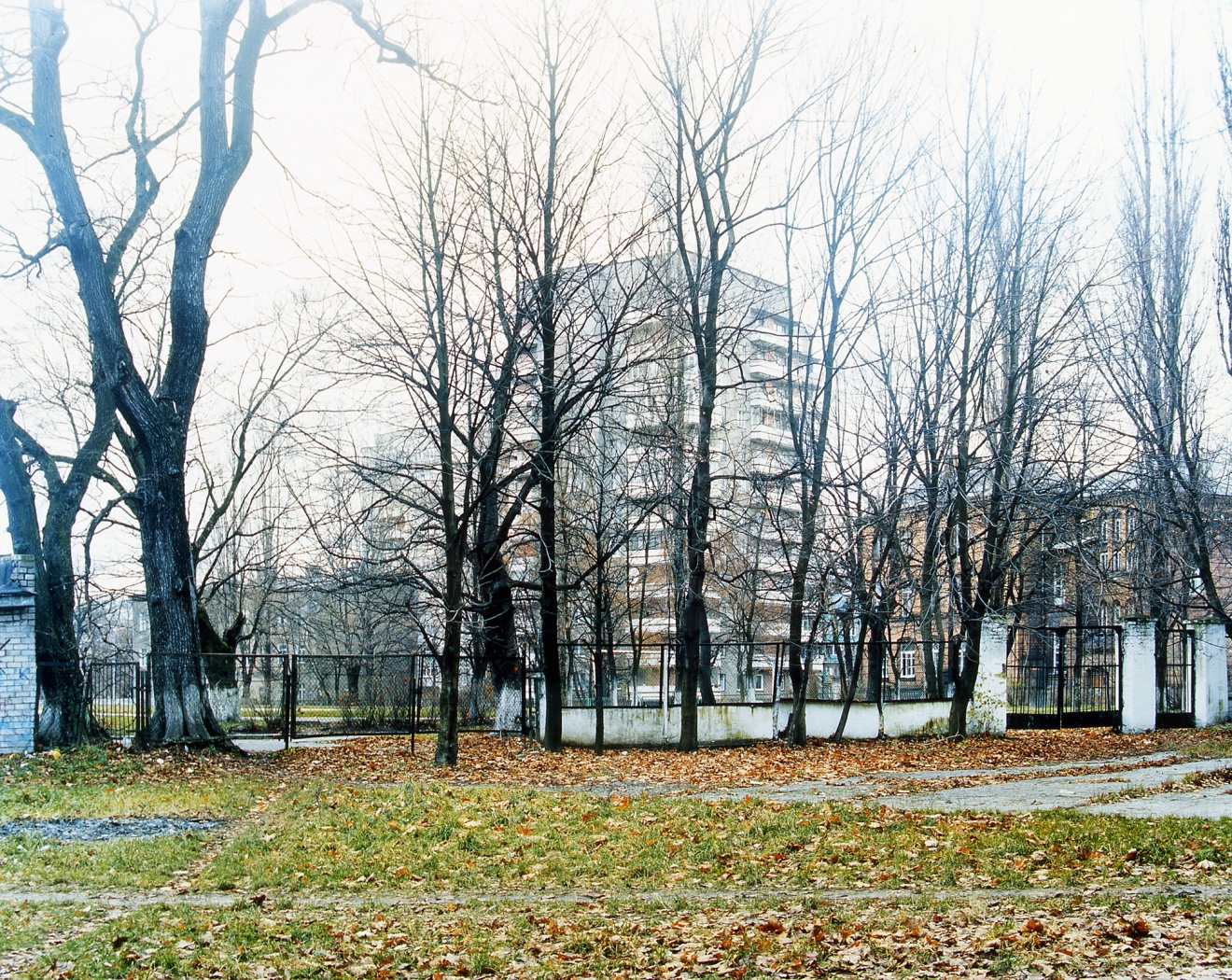 #3, 2003, c-print, 27 ¼ x 32 inches