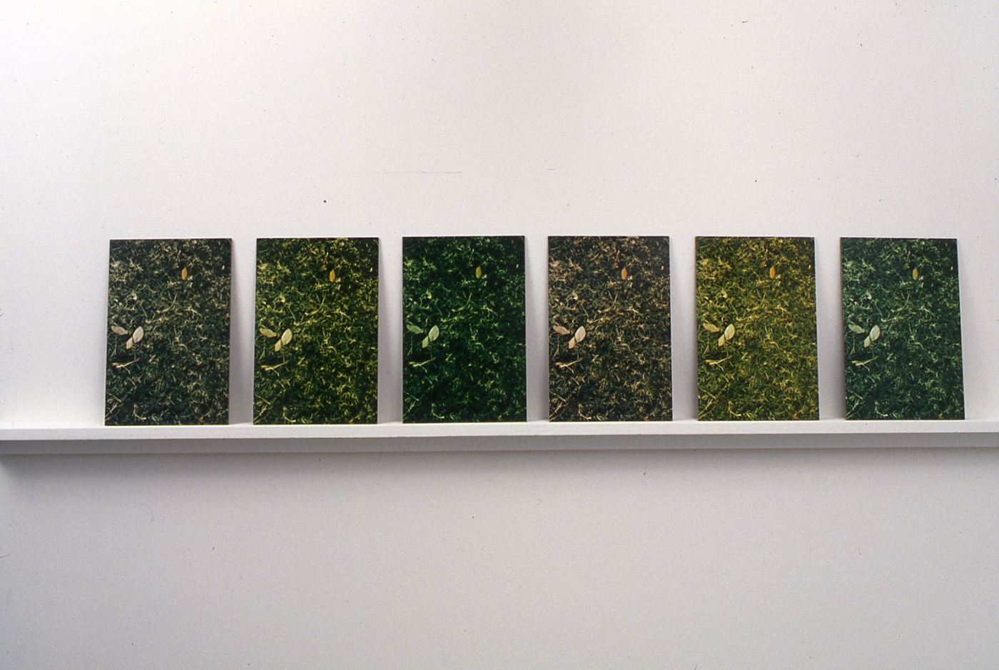 Snake in the Grass, 1997/2009 (detail)