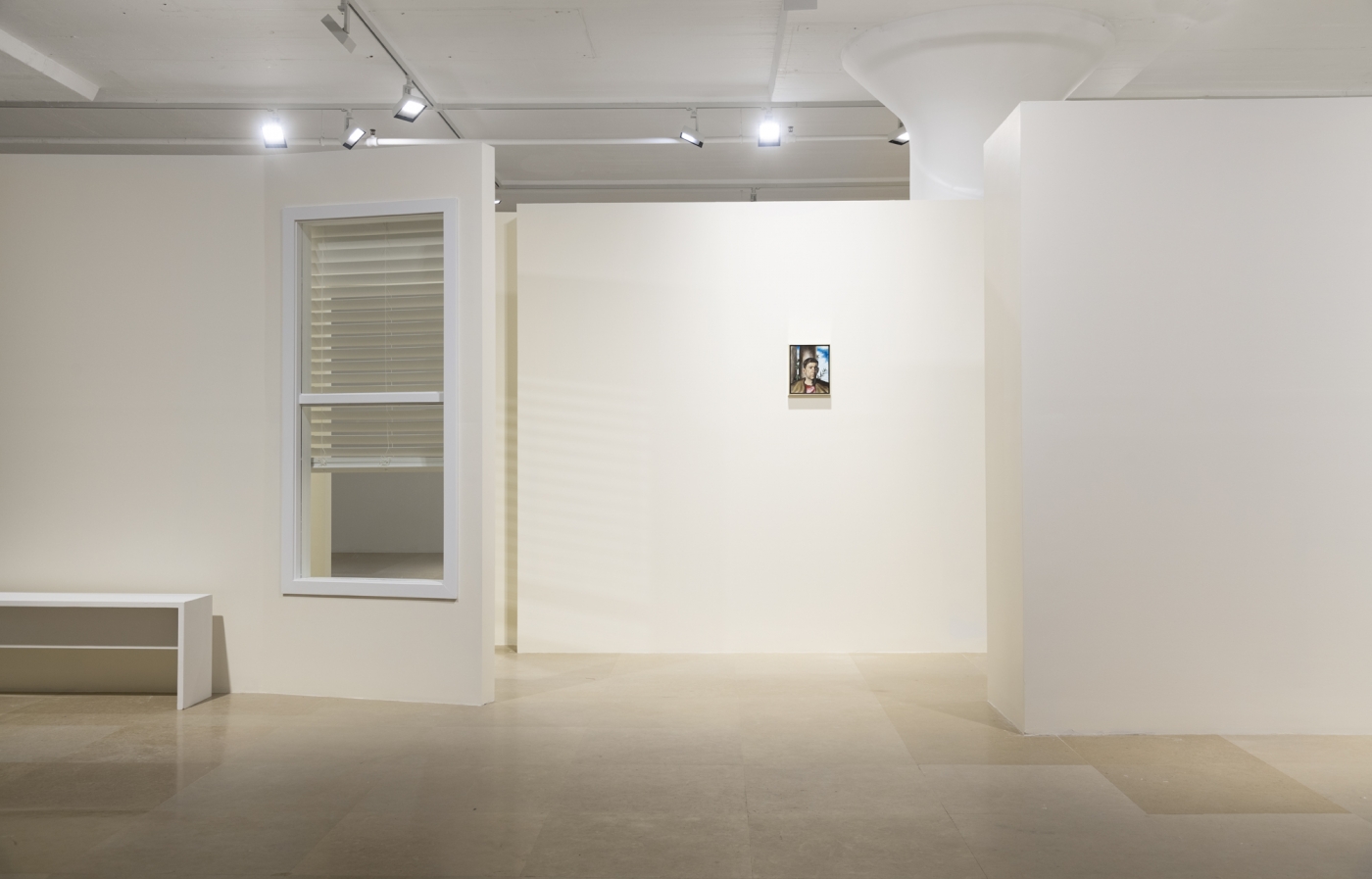 Giangiacomo Rossetti, Installation view, Le Fantasie, Greene Naftali, New York, 2020