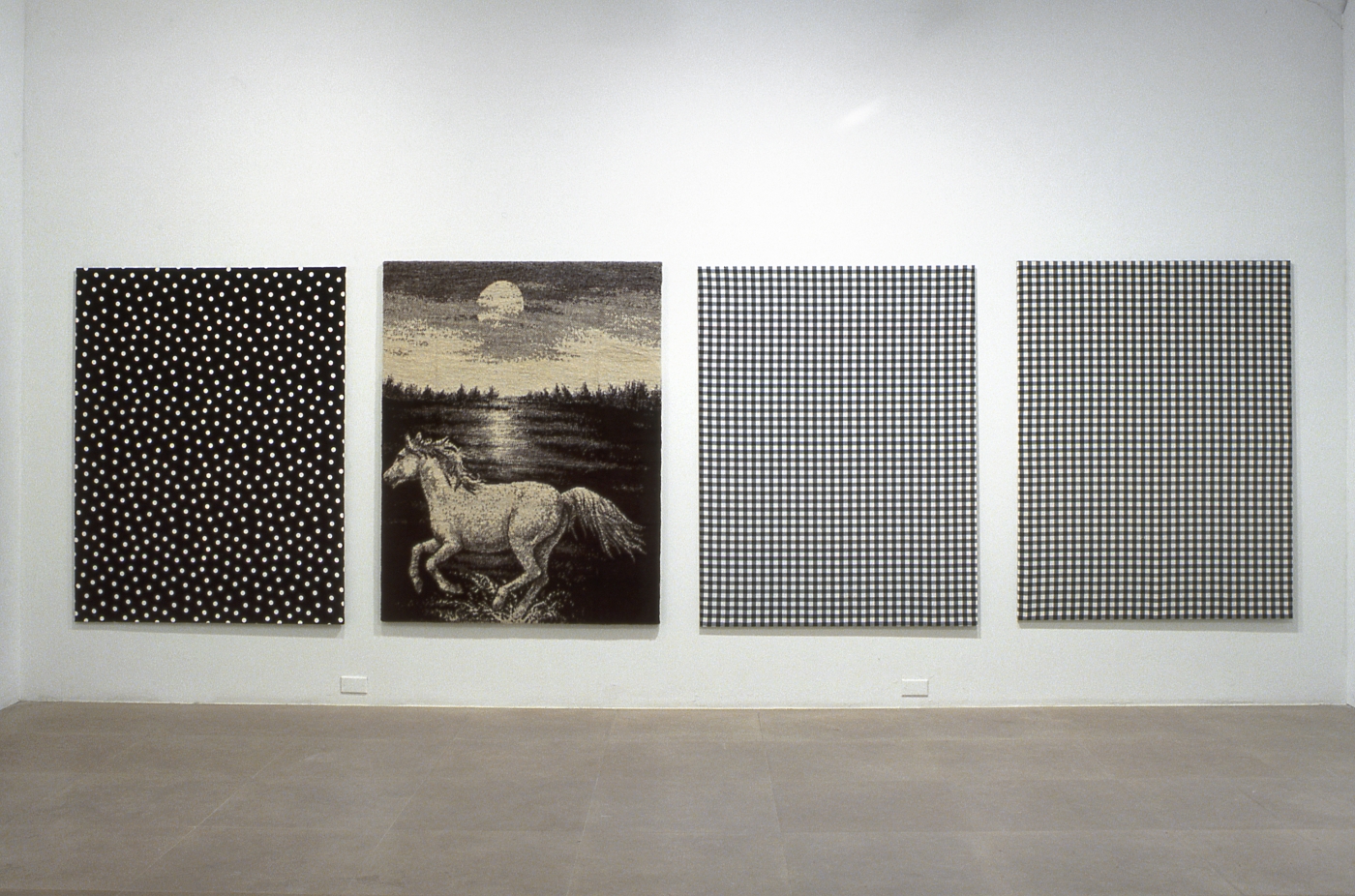 Installation view, Flaggs (Against Nature), Greene Naftali, New York, 2003