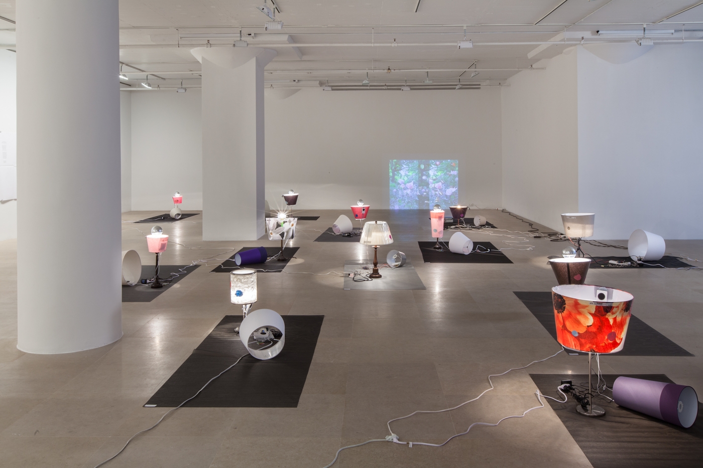 Josef Strau, Installation view, Exercises ab initio..., Greene Naftali, New York, 2012