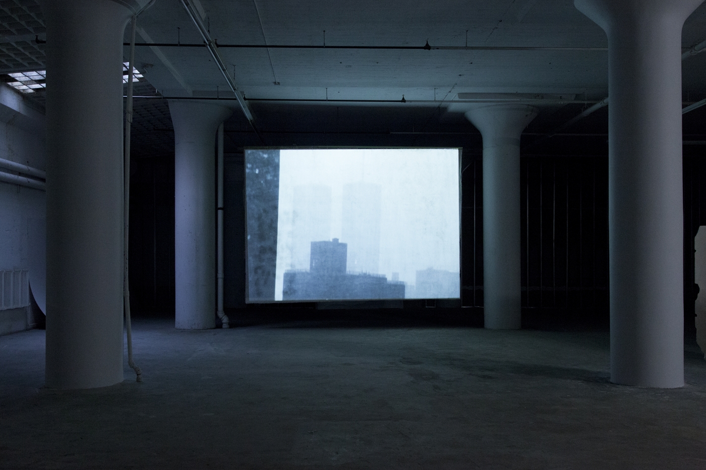 Lutz Bacher, Installation view, Snow, Greene Naftali, New York, 2014
