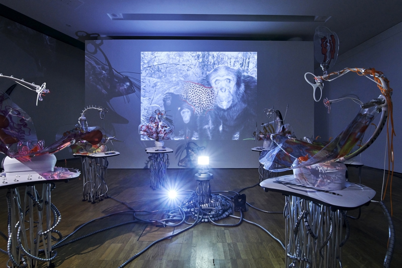 Katja Novitskova, Installation view, If Only You Could See What I've Seen with Your Eyes. Stage 2, Kumu Art Museum, Tallinn, Estonia, 2018