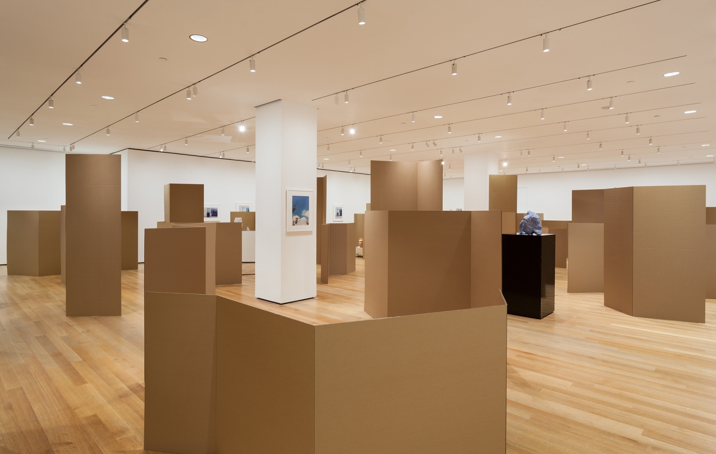 Installation view, Rachel Harrison: Perth Amboy, curated by Paulina Pobocha, Museum of Modern Art, New York, 2016