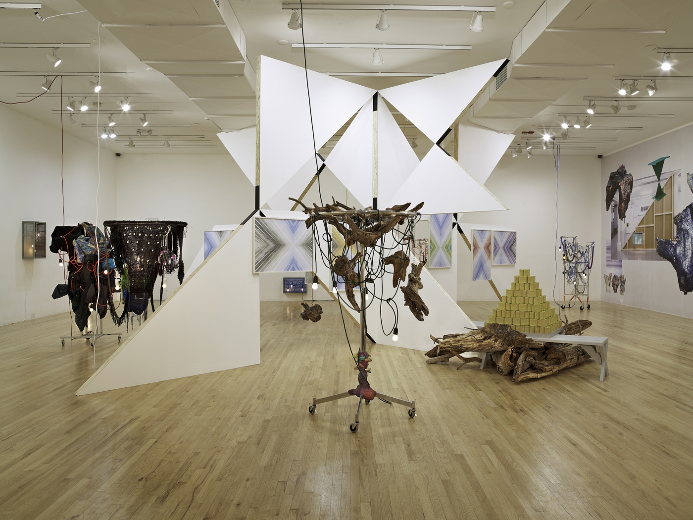 Installation view, The Art and Technique of Folding the Land, curated by Heidi Zuckerman Jacobson, Aspen Art Museum, Aspen, Colorado, 2011