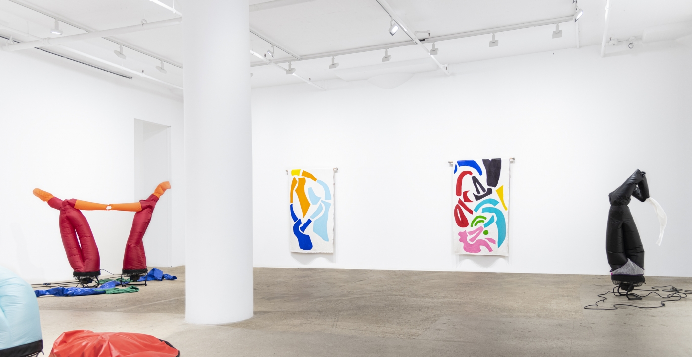 Paul Chan, Installation view, The Bather's Dilemma, Greene Naftali, New York, 2019