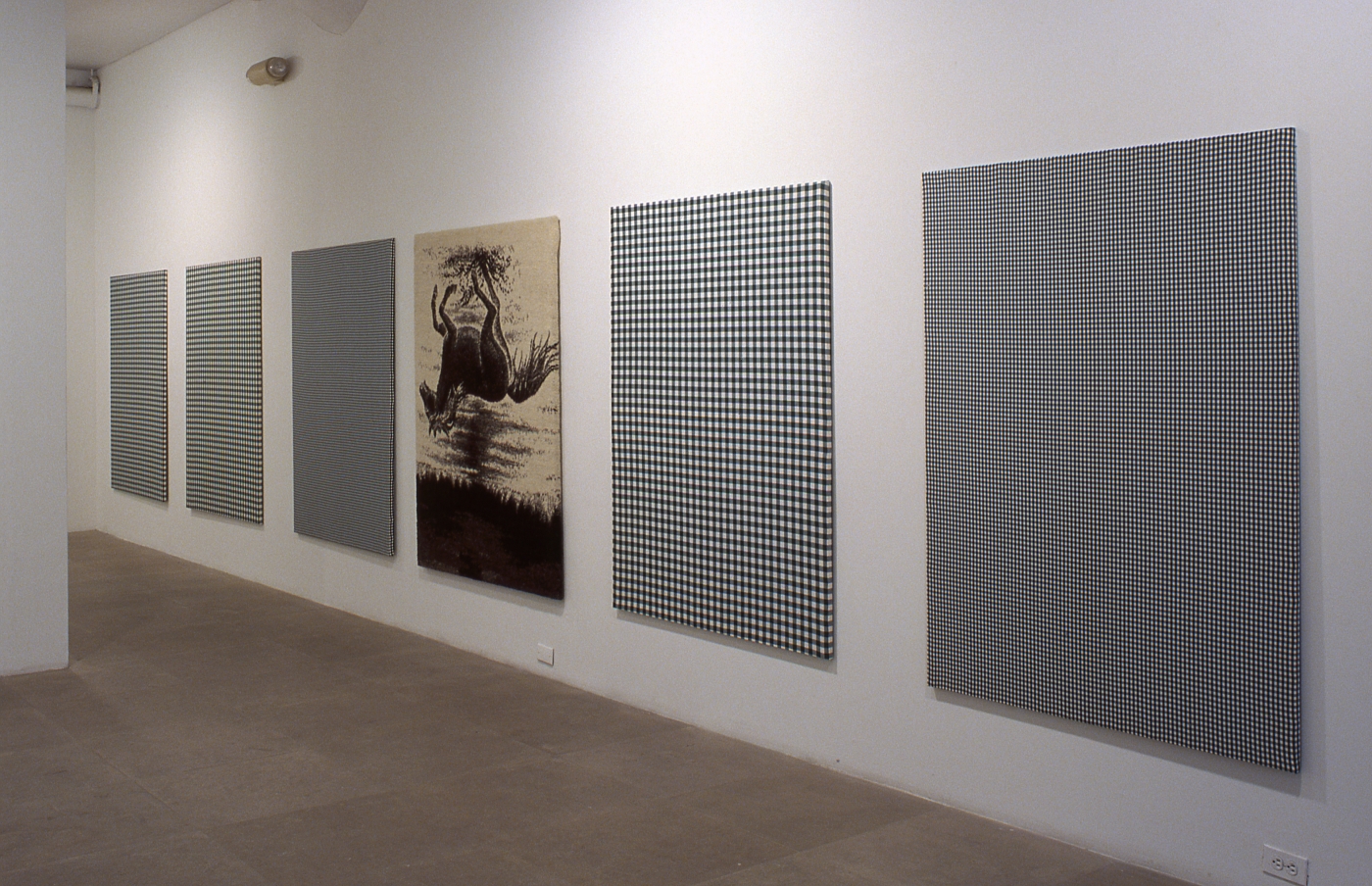 Installation view, Flaggs (Against Nature), Greene Naftali, New York, 2003