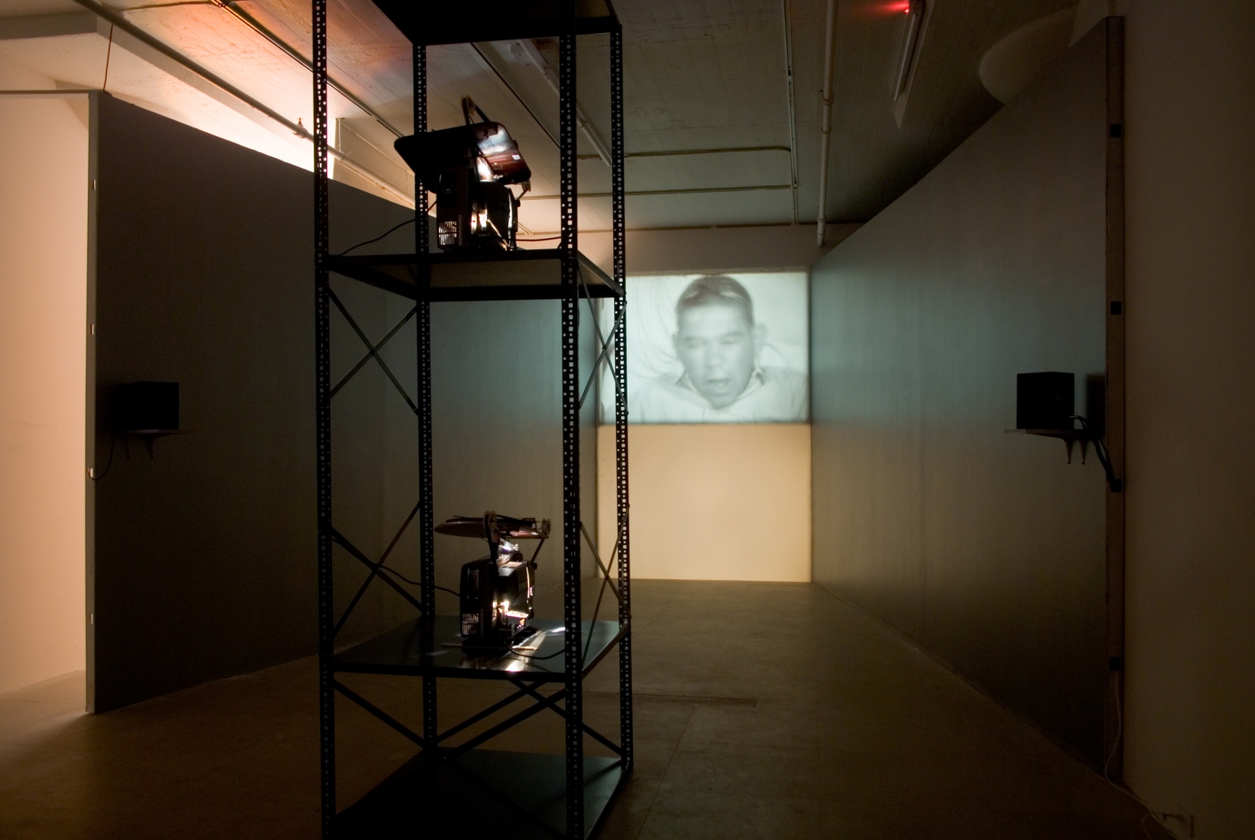 Installation view, Epileptic Seizure Comparison, Greene Naftali, New York, 2007